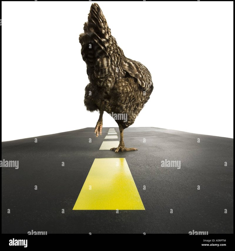A look at chicken road españa
